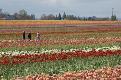 zawód - Technik turystyki wiejskiej